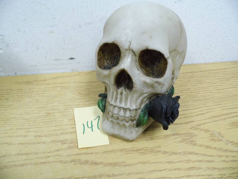 Skull w Black Rose