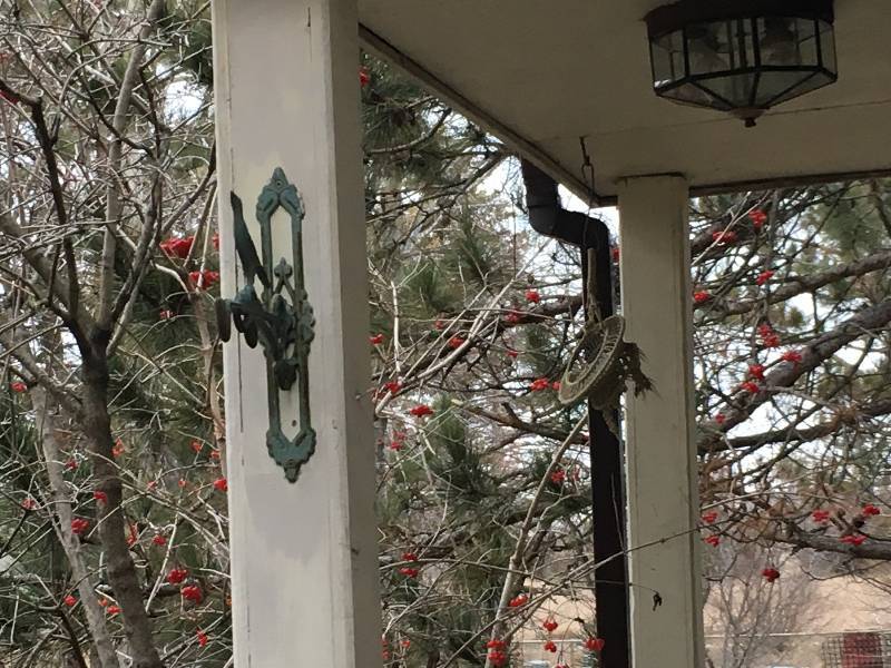 Iron Plant Hanger