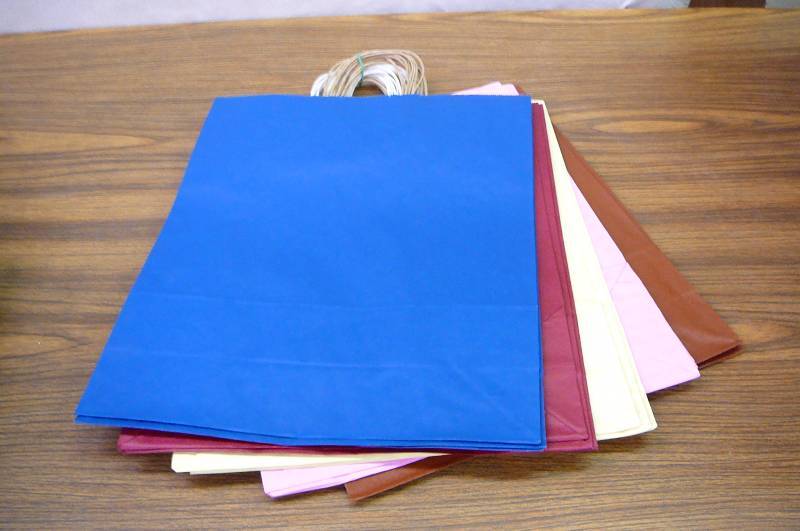 Gift  Shopping Bags