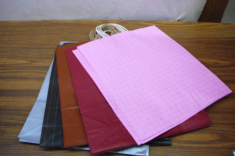 Gift  Shopping Bags