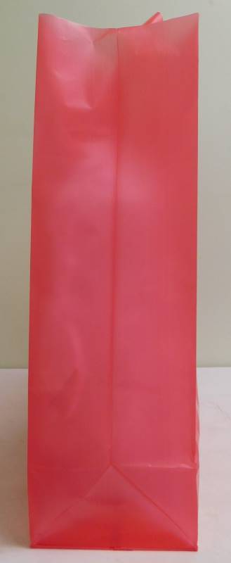 Red Frosted Shopping Bags - 16 x 6 x 17