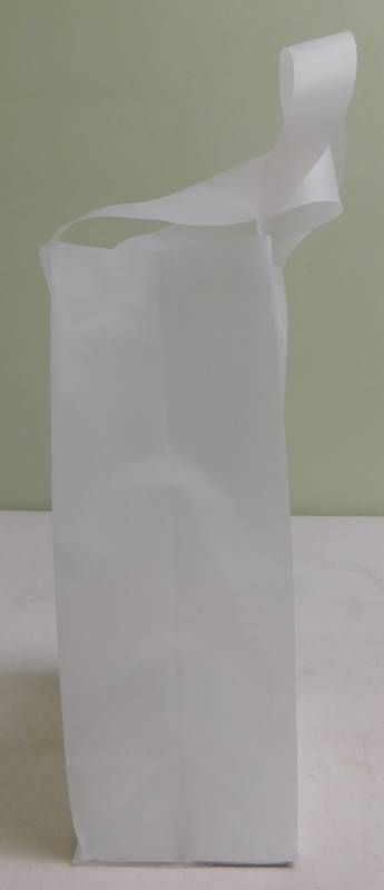 Small Frosted Clear Gift Bags - 5 x 3 x 8
