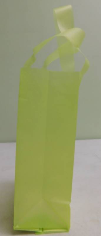Small Frosted Lime Green Gift Bags - 5 x 3 x 8