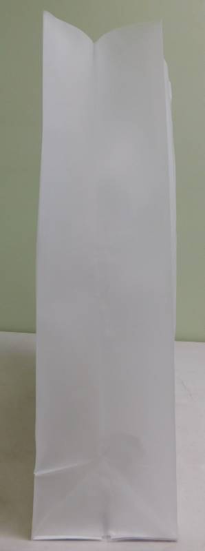 Clear Frosted Shopping Bags - 16 x 6 x 19