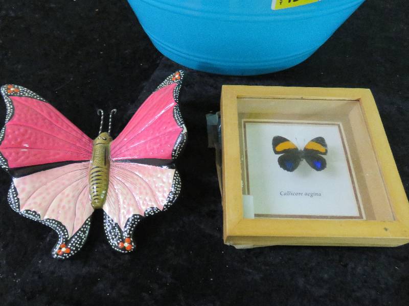 Butterfly Lot