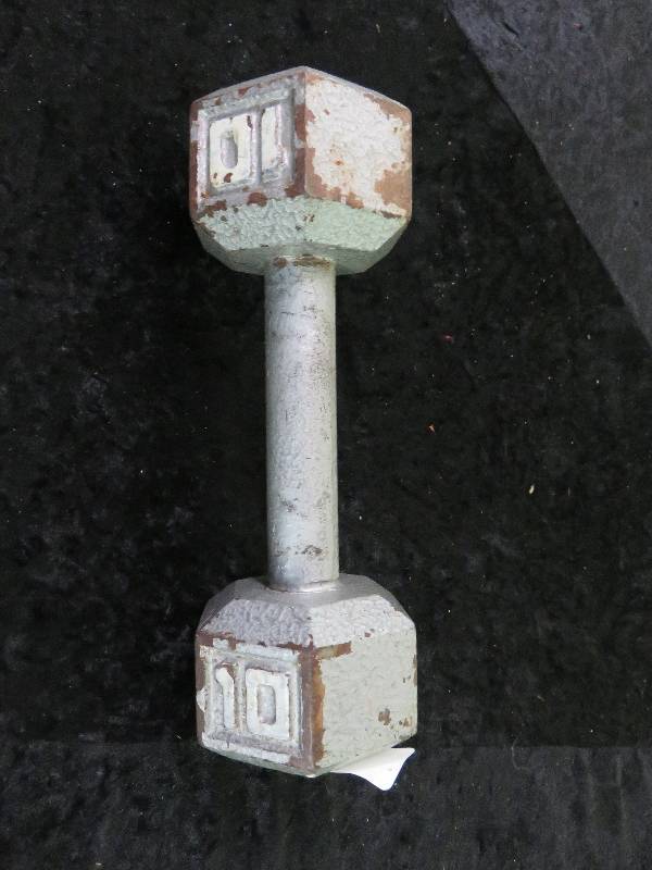 10 lb. hand weight