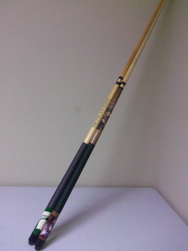 Pool Sticks