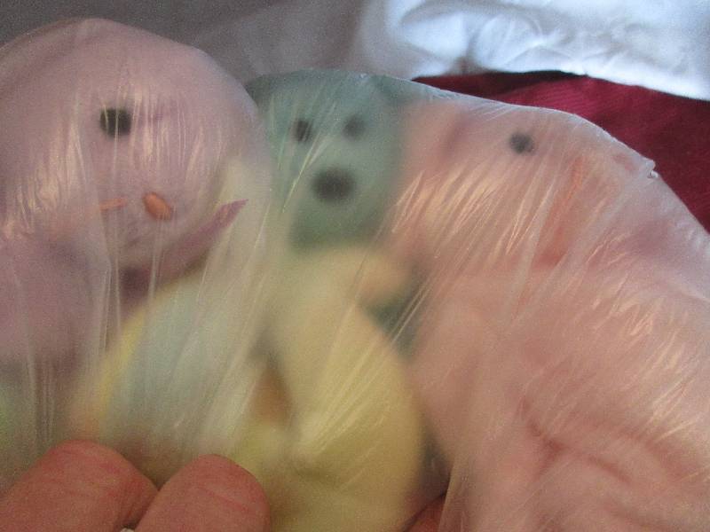 lot 193 image: BEANIE BABIES