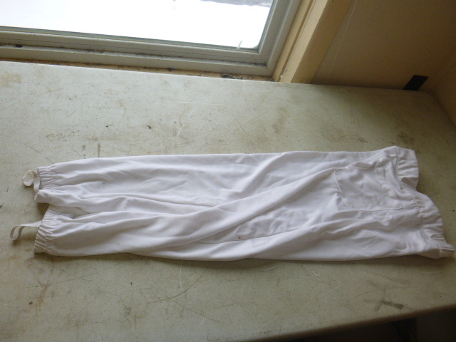 lot 158 image: Champro Baseball Pants
