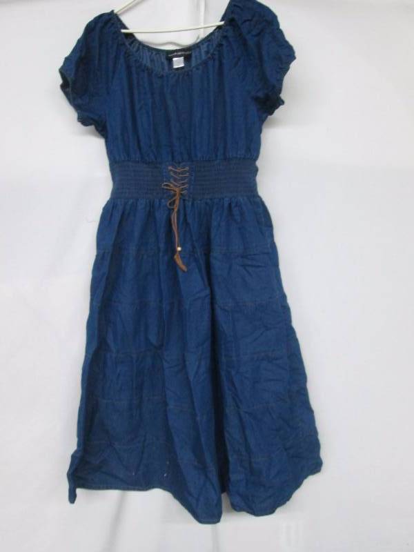 Wearabouts Plus Tiered Denim Dress