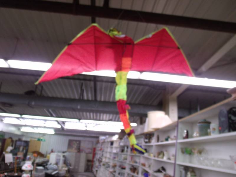 pair of kites