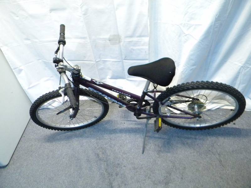 lot 2 image: Schwinn Thrasher Bike