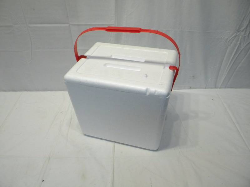 lot 71 image: Styrofoam Cooler