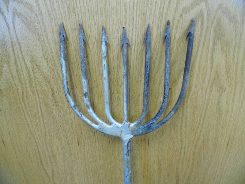 Trident