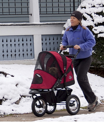 lot 20 image: Pet Gear Jogging Pet Stroller - Burgundy Color
