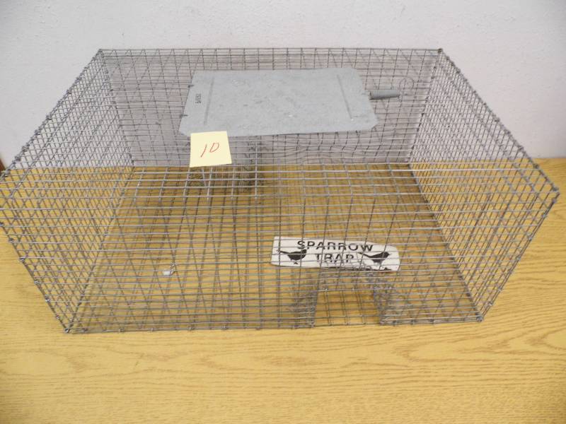 Sparrow Trap
