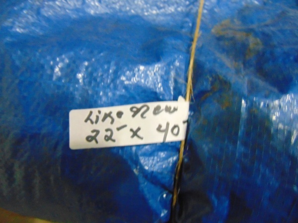 Tarp