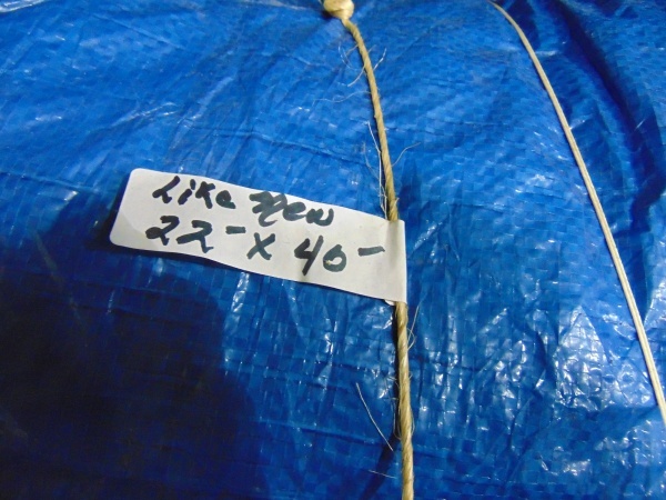 Tarp