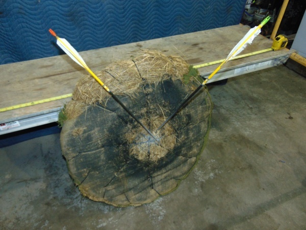 Vintage Arrow Target