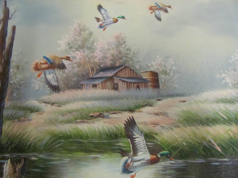 Wildlife Artwork