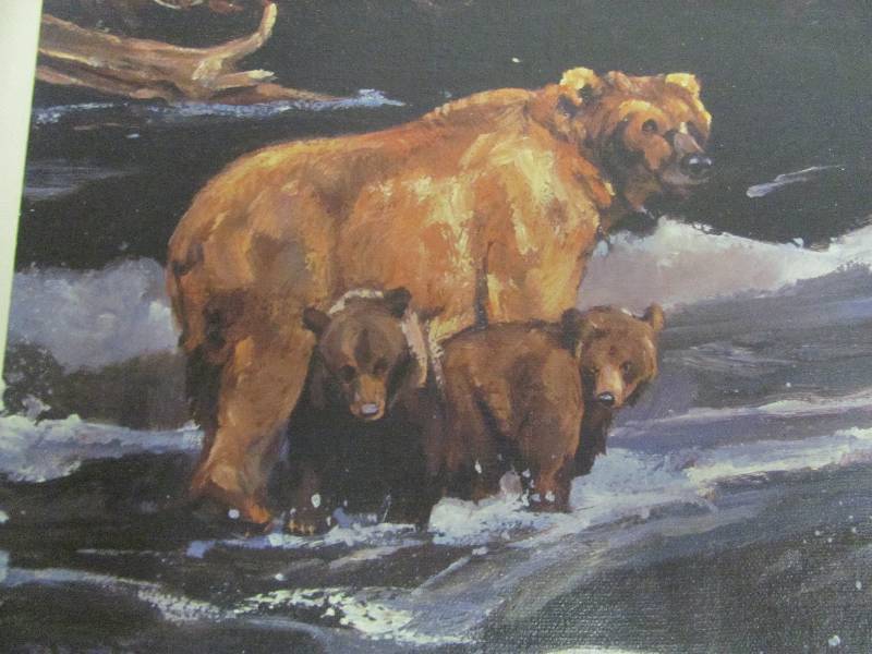 Wildlife Artwork