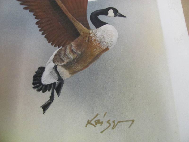 Wildlife Artwork