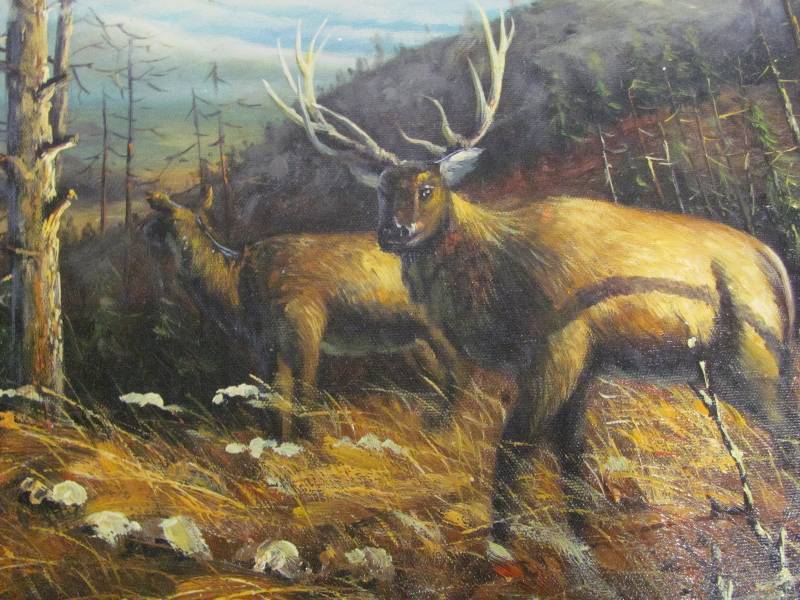 Wildlife Artwork