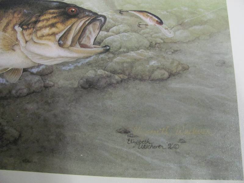 Wildlife Artwork