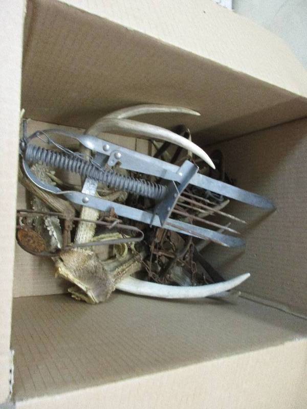lot 96 image: Antlers & traps