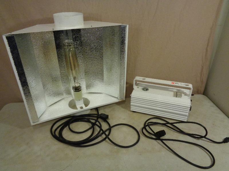 1000 Watt Grow Light and Ballast