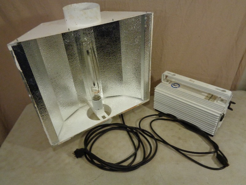 1000 Watt Grow Light and Ballast