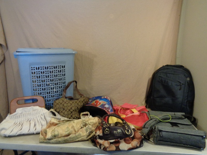 Purses and Bags