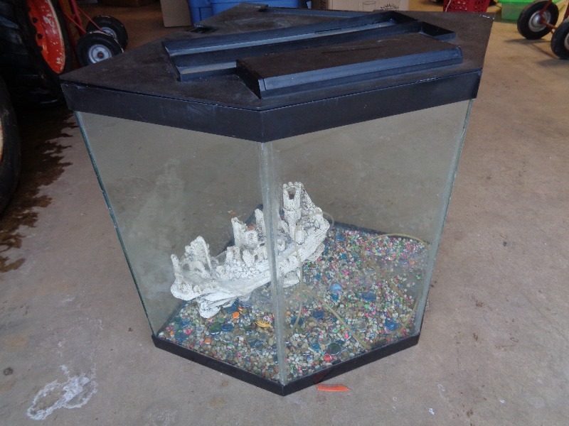 Glass Aquarium with Rock