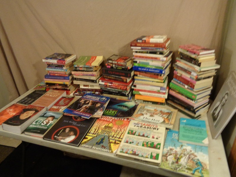 Large Lot of Books