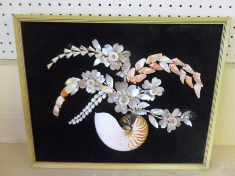 Seashell Picture