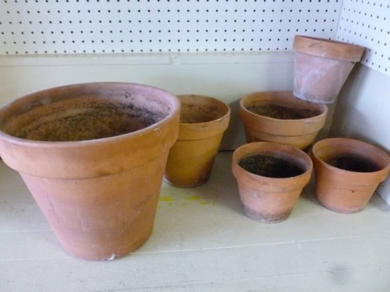 Flower Pots