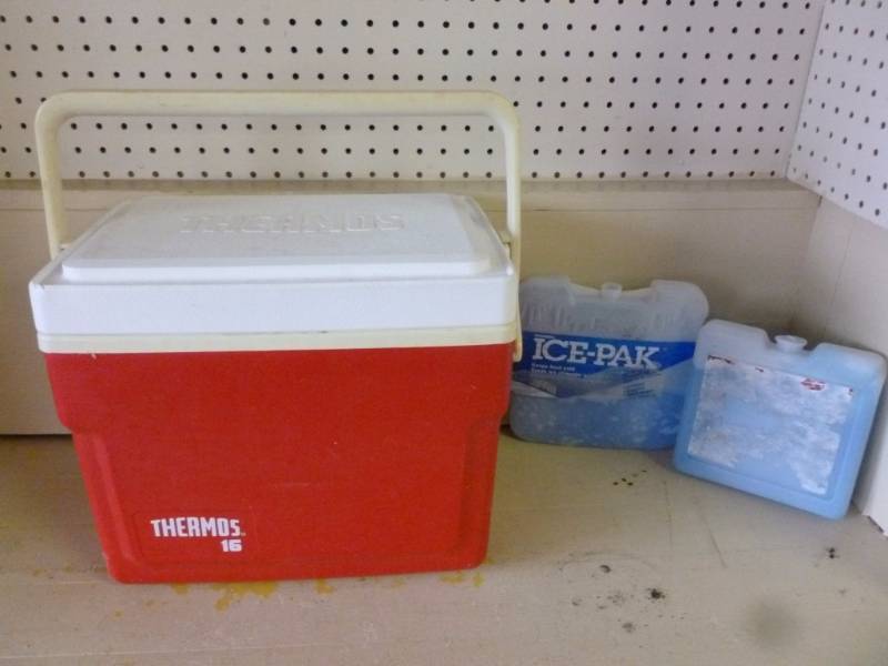 Thermos Lunchbox