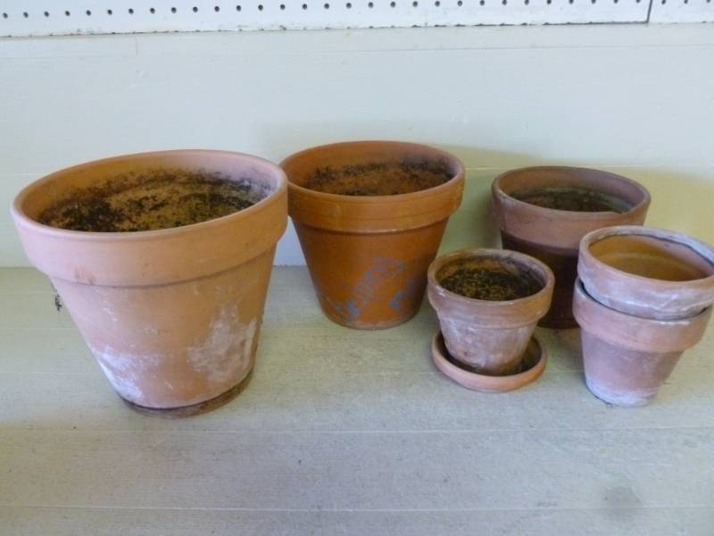 Planters