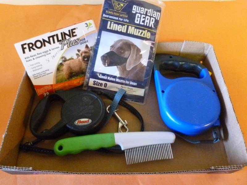 Dog Items