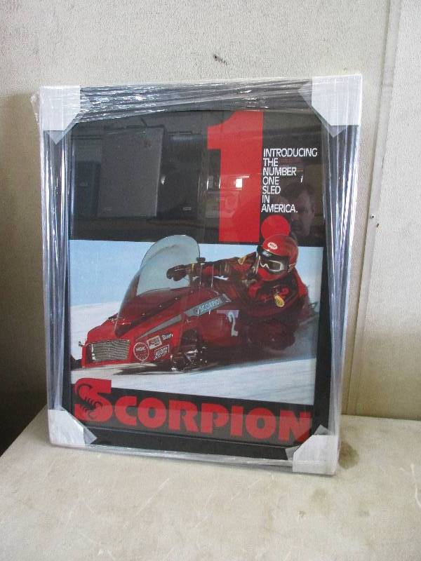 Scorpion Racing Picture