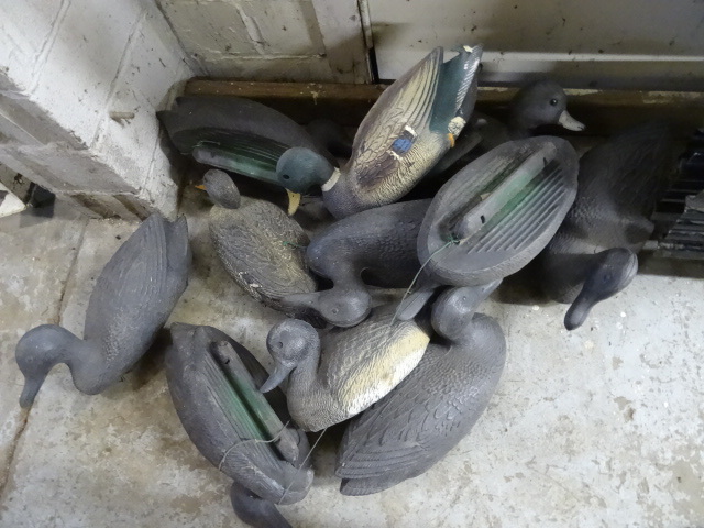 Misc Plastic Duck Decoys