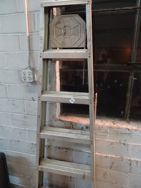 6 Aluminum Step Ladder