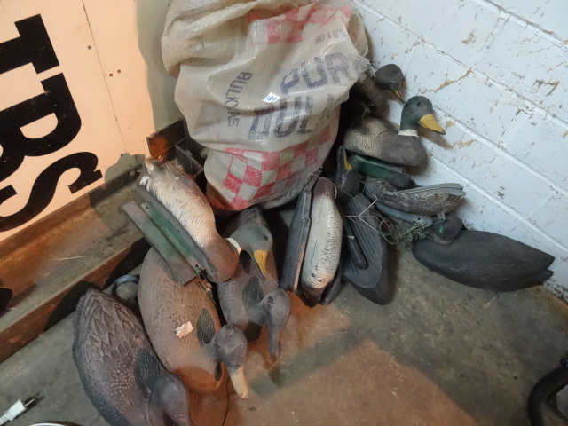 Misc Plastic Duck Decoys