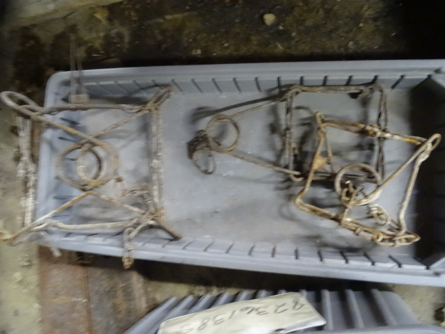 3 Conibear Traps