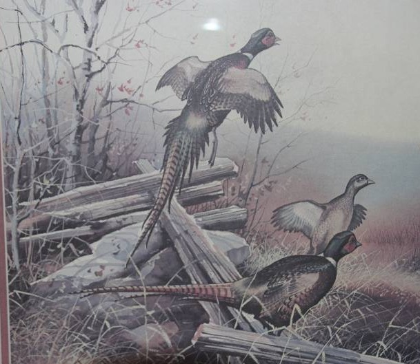 lot 9 image: Pheasant Print by Gregory Messier