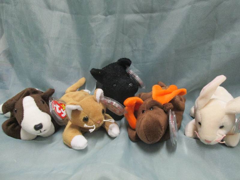 Variety of 5 Beanie Babies...