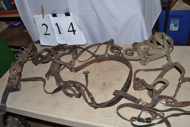 lot 214 image: Horse Items