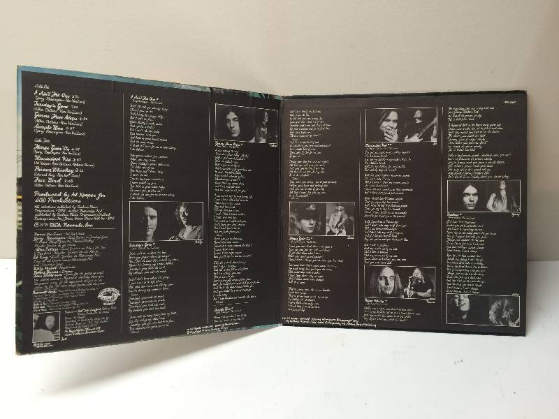 lot 24 image: Lynyrd Skynyrd - Album Vinyl LP