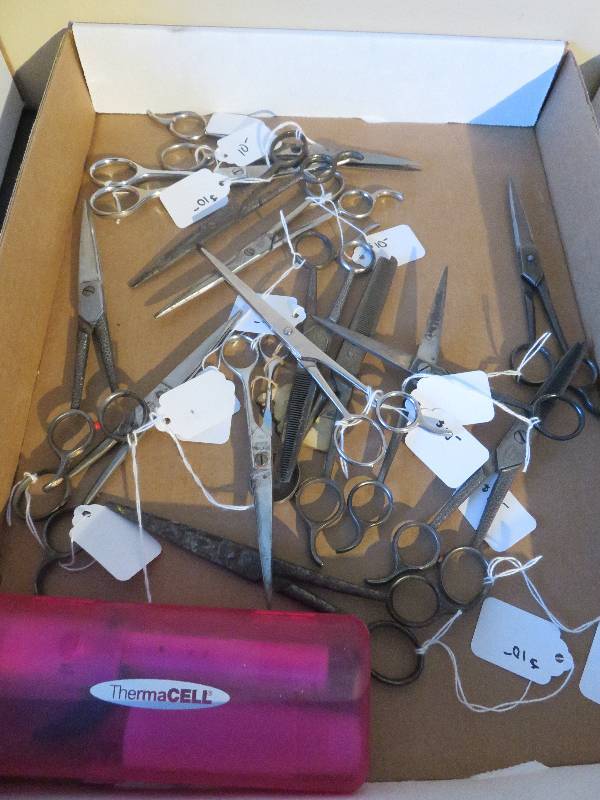 hair shears